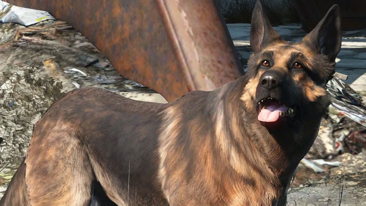 Fallout 4 dogmeat no фото 25