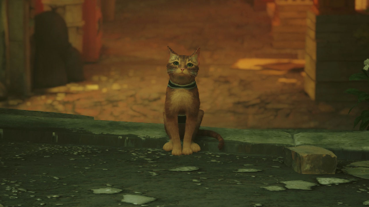 New Indie Game Release Stray Is Pawsitively Purrfect